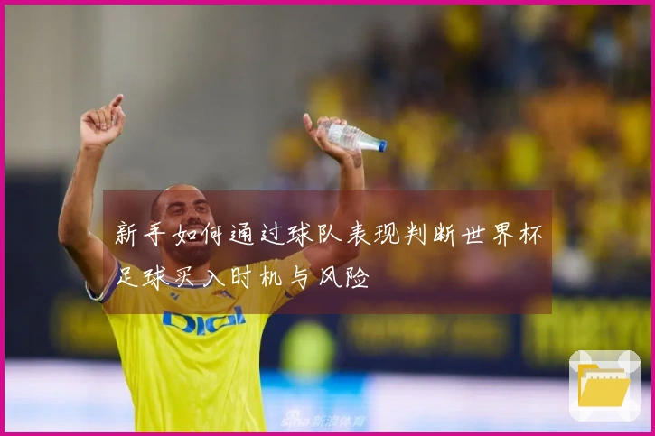 新手如何通过球队表现判断世界杯足球买入时机与风险