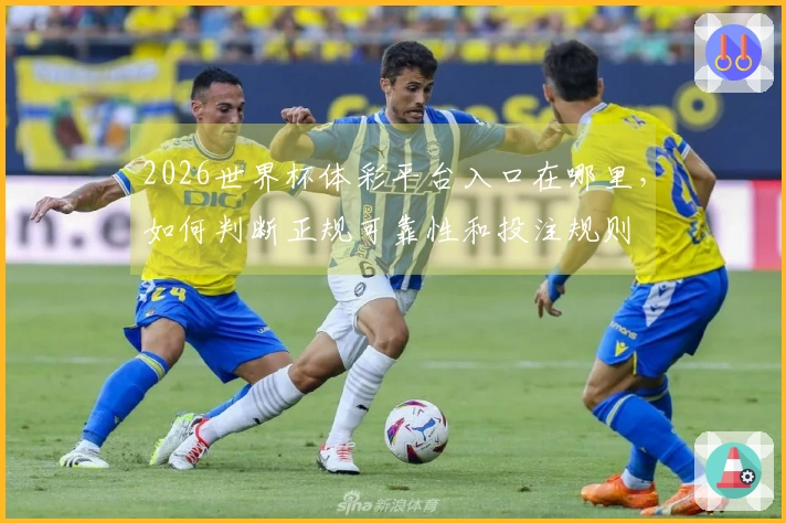 2026世界杯体彩平台入口在哪里,如何判断正规可靠性和投注规则