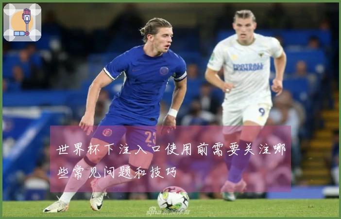 世界杯下注入口使用前需要关注哪些常见问题和技巧